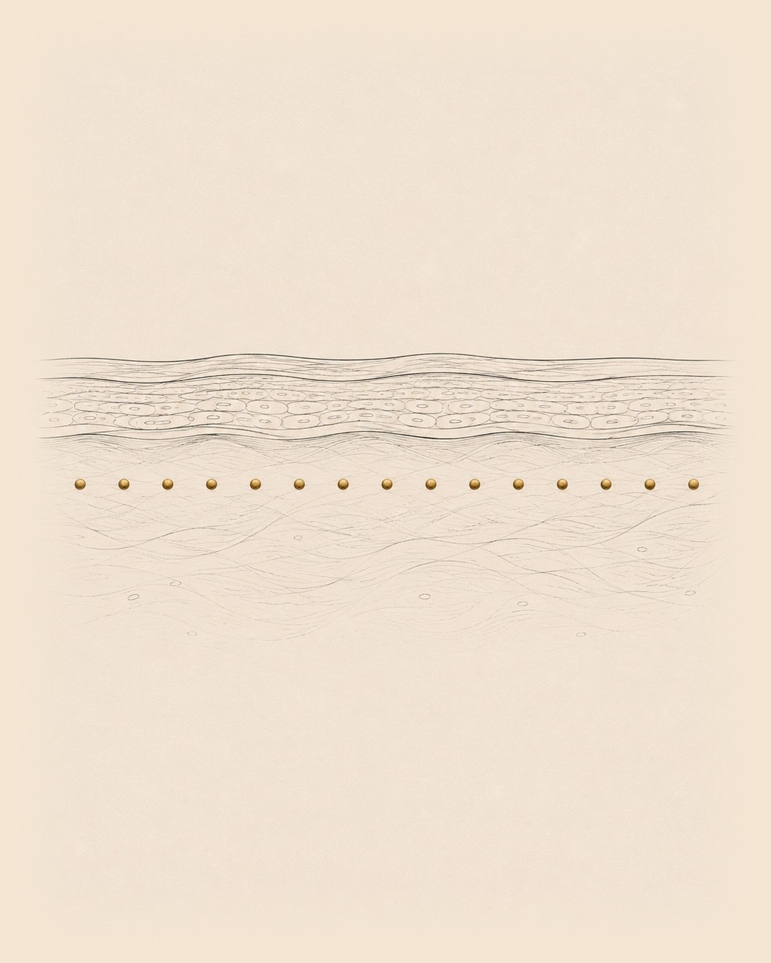 Illustrated skin cross-section showing a row of tiny golden droplets placed in the upper layers of the skin